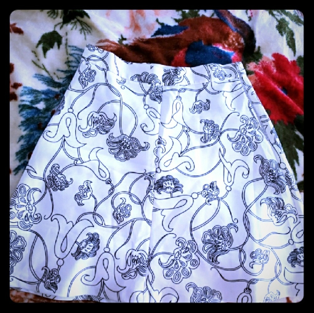 Zara A-Line Floral Skirt